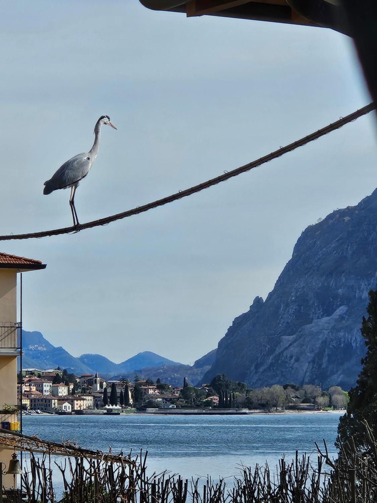 L'Airone - Casa Vacanza Mandello del Lario Extérieur photo
