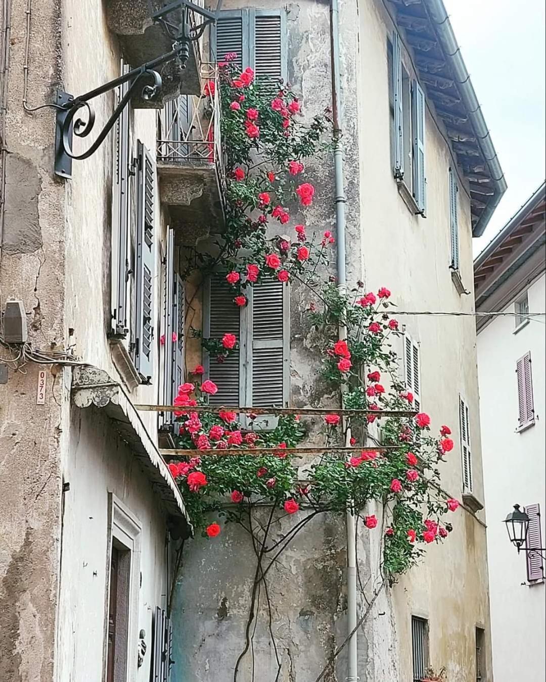 L'Airone - Casa Vacanza Mandello del Lario Extérieur photo